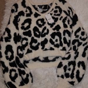 Cropped leopard sweater
